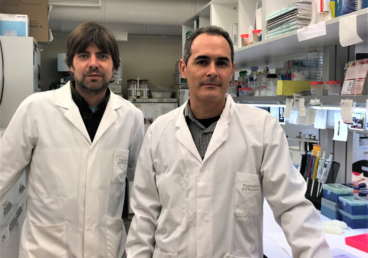 Salvador Herrero (left) and Joel González, UV researchers involved in the INSECT DOCTORS project.